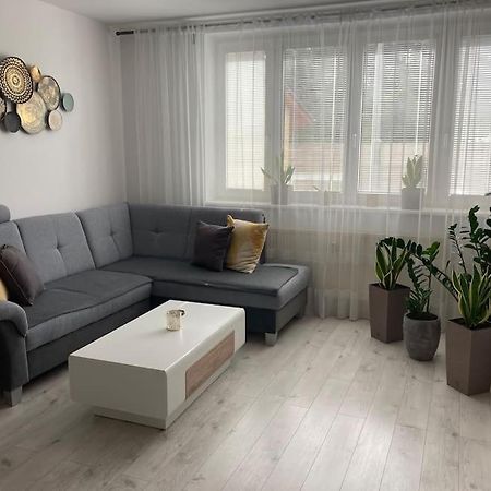 Apartman S Terasou, Bezplatne Parkovanie Apartment Братислава Екстериор снимка